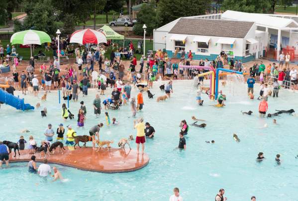 City Park Pool Pooch Plunge