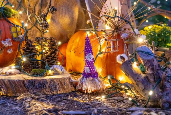 You Can't Miss These Fall Festivals in Fort Collins