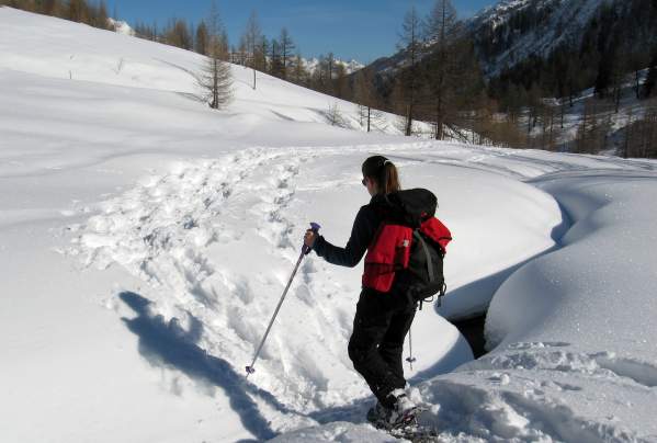 Snow Shoeing in Lory State Park