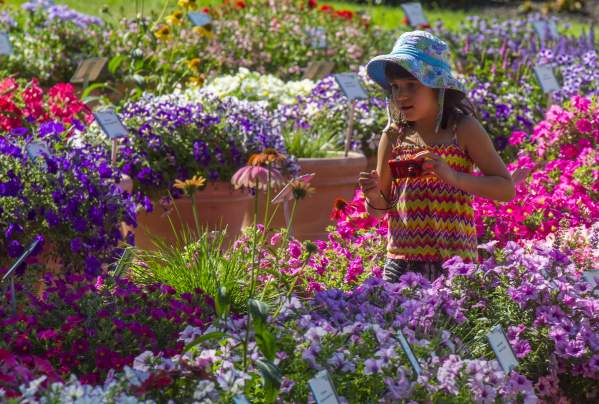 10 Things to Experience During Spring in Fort Collins