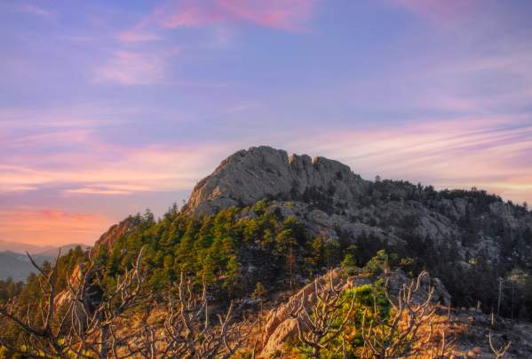 Best Activities to Enjoy During Spring Break in Fort Collins