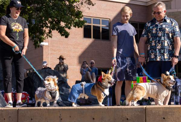 Rock On with 300+ Corgis: Tour de Corgi Returns to Fort Collins October 4th