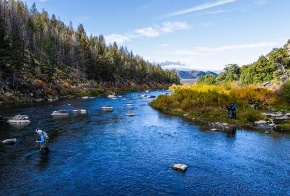 Fall Fishing in Fort Collins and Northern Colorado: Top Spots and Seasonal Tips