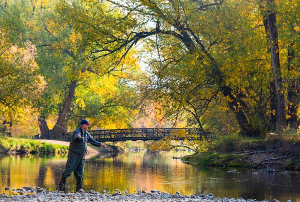 From Harvest to Halloween: Fort Collins in October