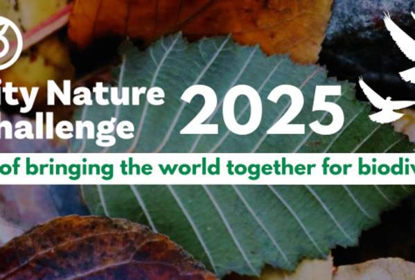 City Nature Challenge
