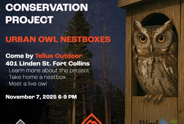 First Friday with Bird Conservancy