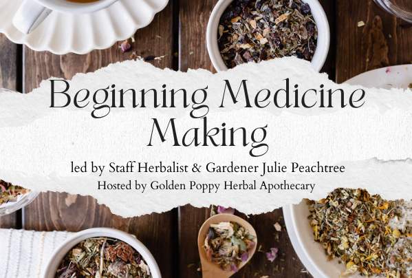 Beginning Medicine Making