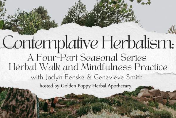 Contemplative Herbalism: A Four Part Seasonal Series Herbal Walk and Mindfulness Practice