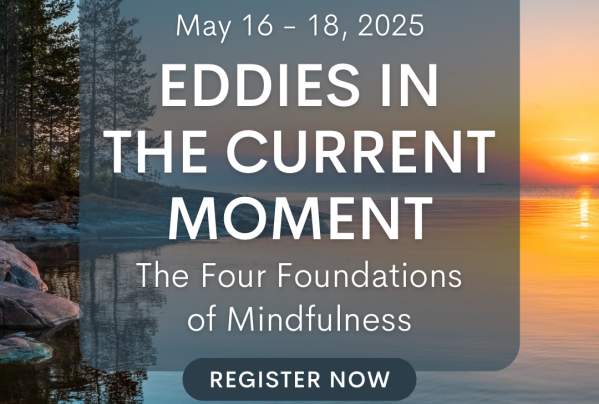 Eddies in the Current Moment: The Four Foundations of Mindfulness