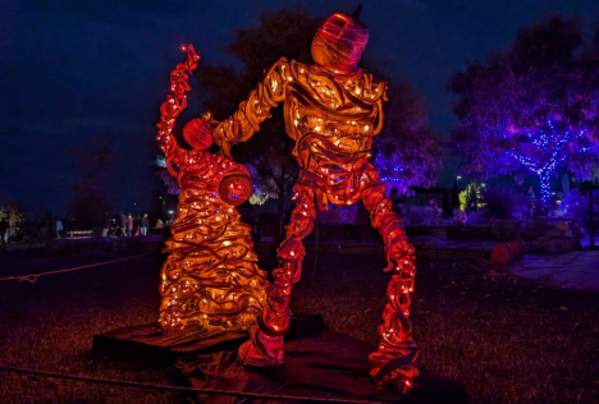 Pumpkins on Parade