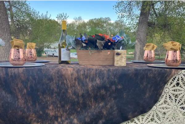 Charcuterie Horseback Picnic Ride