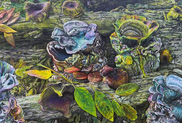 Artist Talk and Reception for Kristy Deetz: Disrupted Gardens