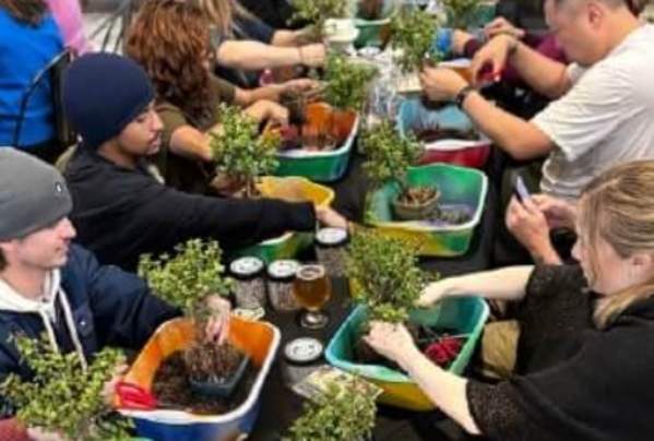 Bonsai Workshop at Oscar's Brewing Company