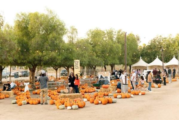 Peltzer Pumpkin Farm