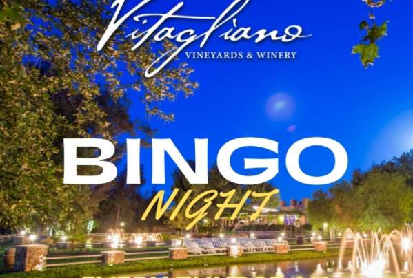 Bingo Night