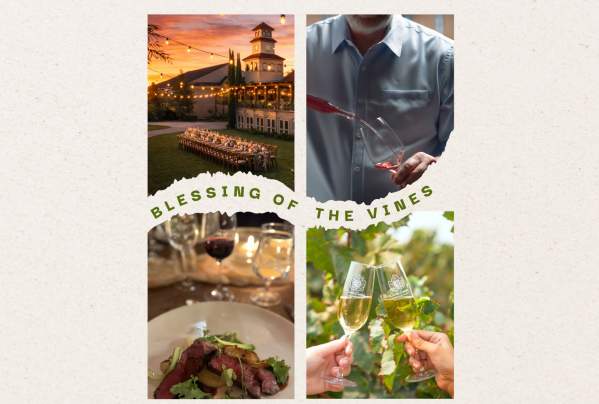 Annual Blessing of the Vines