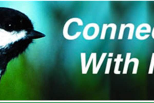 Audubon Field Naturalist - Wildlife Tracks and Signs