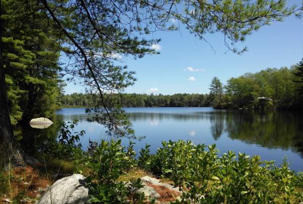 Bowdish Lake Camping Area
