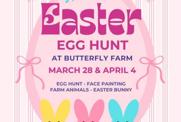 Easter Egg Hunt at Butterfly Farm