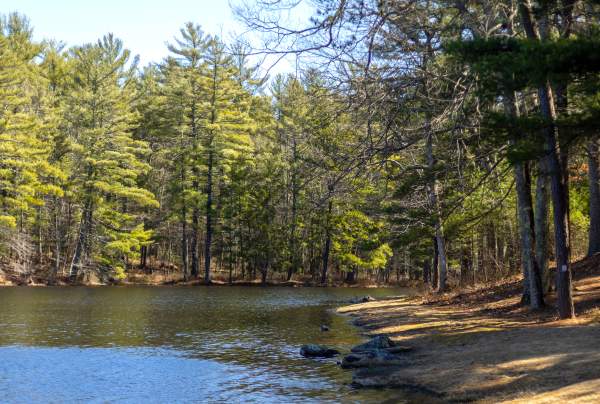 Casmir Pulaski Memorial State Park