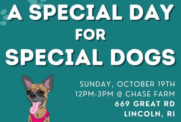 A Special Day for Special Dogs