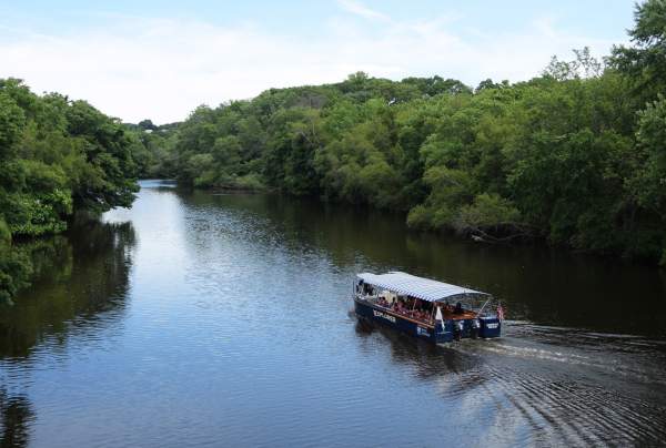 Family Sunday Tours: Freshwater Safari: Plankton Under the Lens