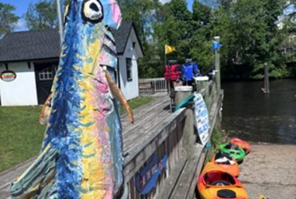 Fish Migration Parade