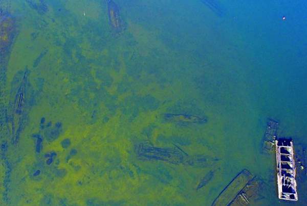 Green Jacket Shoal Ship Graveyard