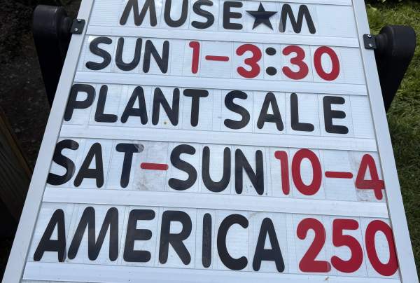 Plant Sale for Mother's Day