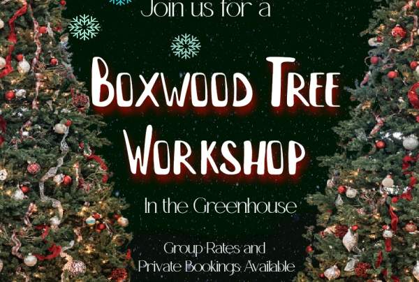 Boxwood Tree Workshop