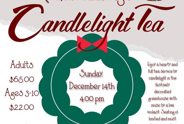 Ma Fezziwig's Candlelight Tea