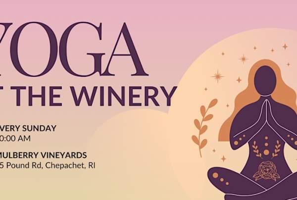 Flow Into Sunday: Yoga and Wine at the Vineyard