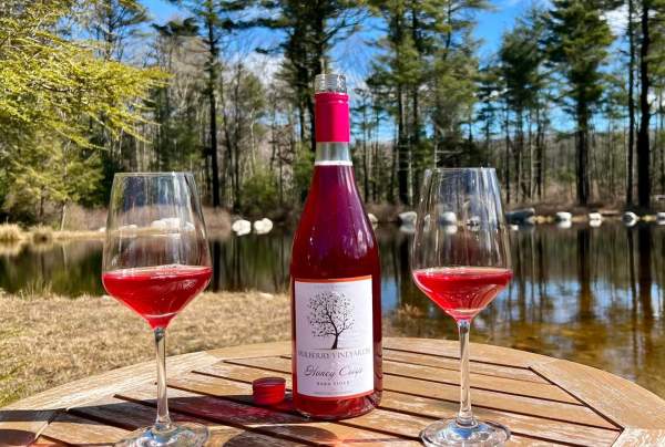 Mulberry Vineyards