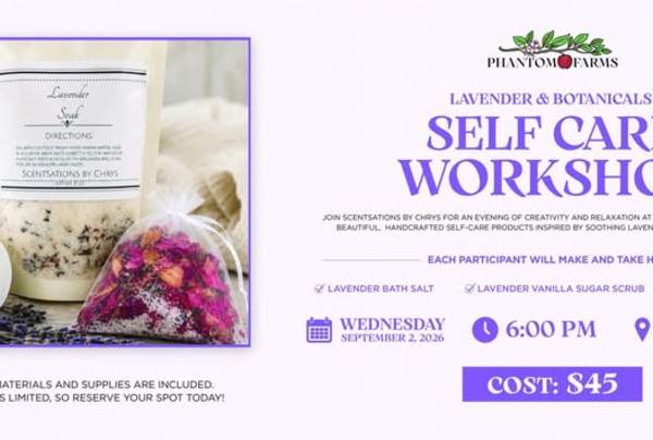 Self Care Workshop