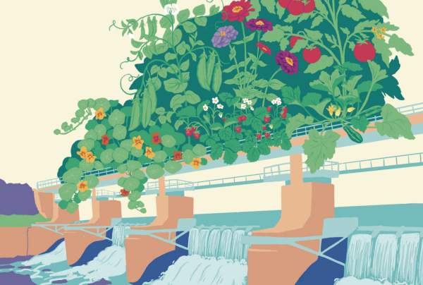 Farm Fresh Farmers Market in Woonsocket