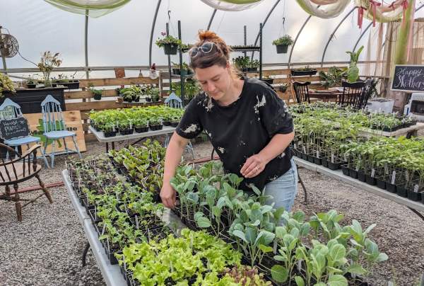 Spring Plant Sale