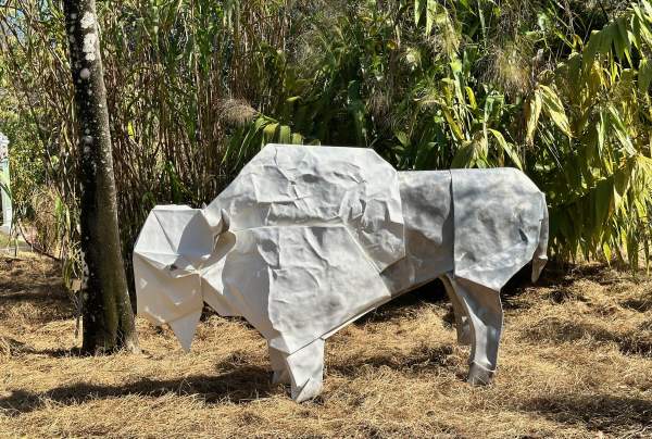 Peace River Botanical & Sculpture Gardens present Origami in the Garden
