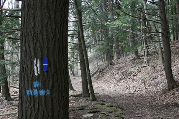 Blue Knob State Park Campground