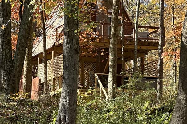 Treehouse Waters