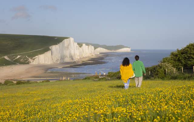 A couple walk across a yellow wildflower meadow on Seaford Head, looking towards the white cliffs of Seven Sisters