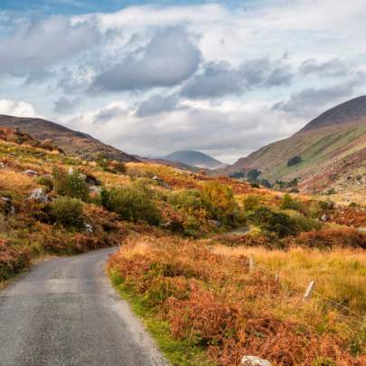 Brian Morrison, Failte Ireland Content Pool