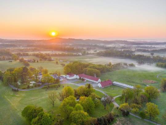 Bluemont Vineyard
