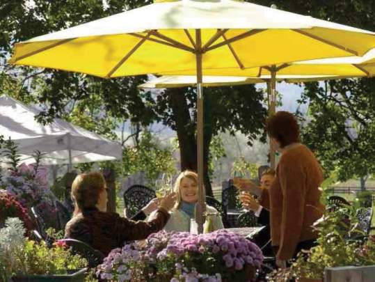 Group cheersing wine while under an umbrella outdoor seating with flowers all around