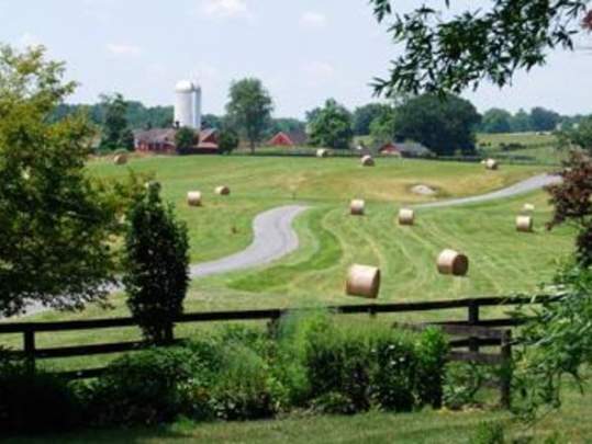 image-2271_3888_The Farm at Goodstone.jpg-266.jpg