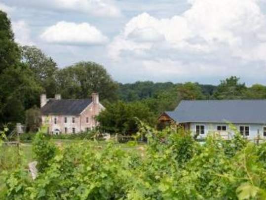 Zephaniah Farm Vineyard