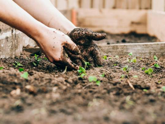 Green Gardening 101: A Sustainable Home Gardening Workshop