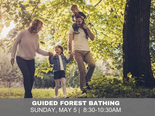 Forest Bathing for Families