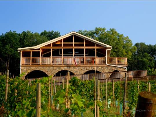 Bluemont Vineyard