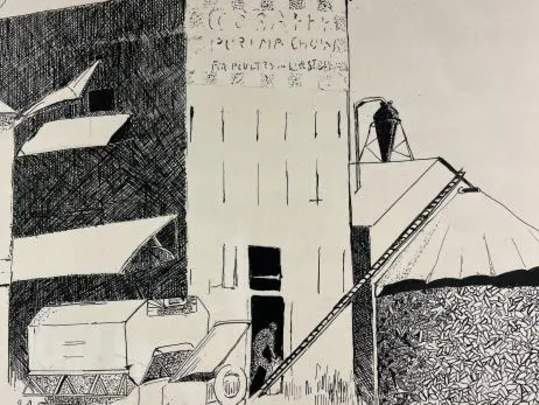 Art on Exhibit: Vinton Liddel Pickens