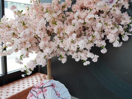 Bloom at Sense of Thai - Chantilly